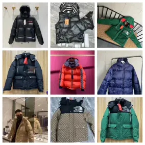 The North Face Down Jacket [20 styles]