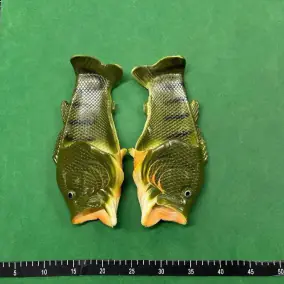 FISH SLIDES