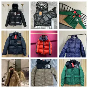 The North Face Down Jacket