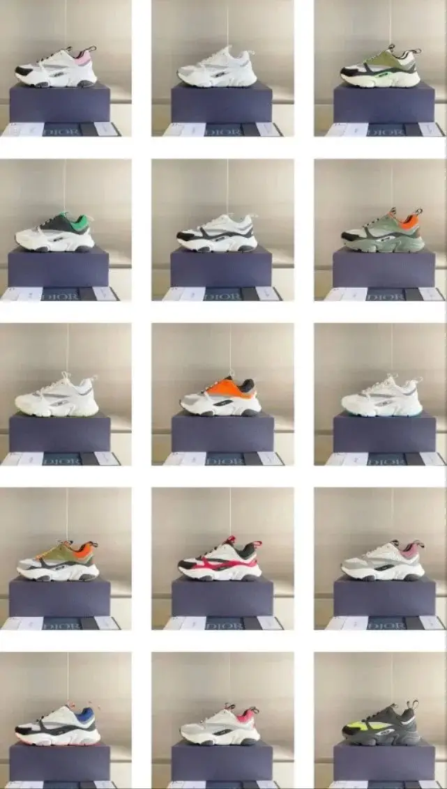 Dior B22