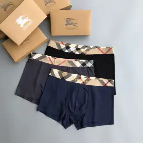 Men's Underwear Briefs
