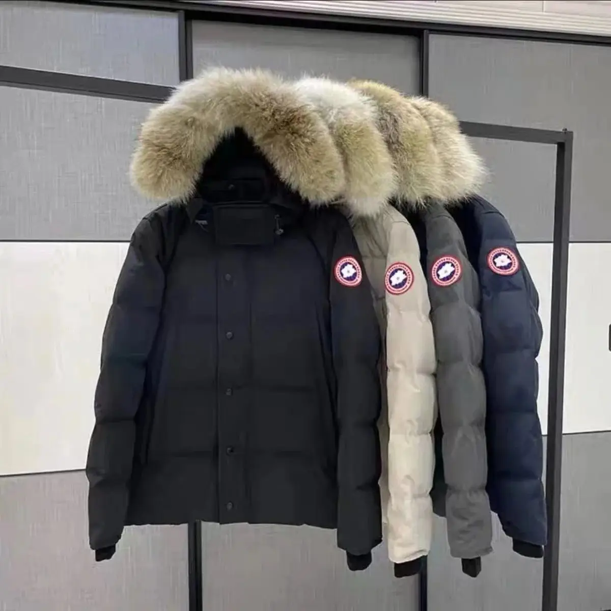 Canada Goose Down Jacket