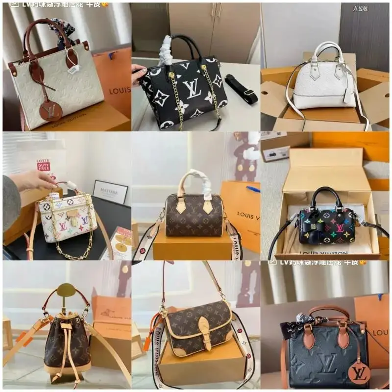 Louis Vuitton women's bag