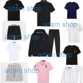 Polo Ralph Lauren Big Pony Hoodie [28 styles]