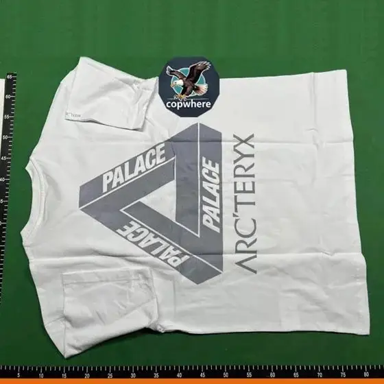 Palace T-shirt (36 CP)