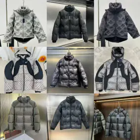 Louis Vuitton Winter-Resistant Puffer Jacket