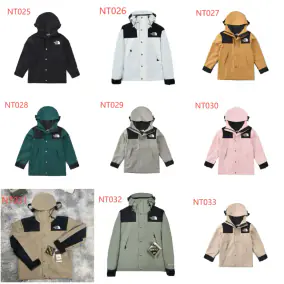 The North Face Mountain Jacket