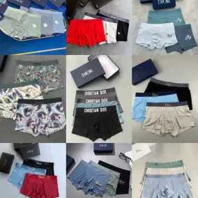 Dior underwear
