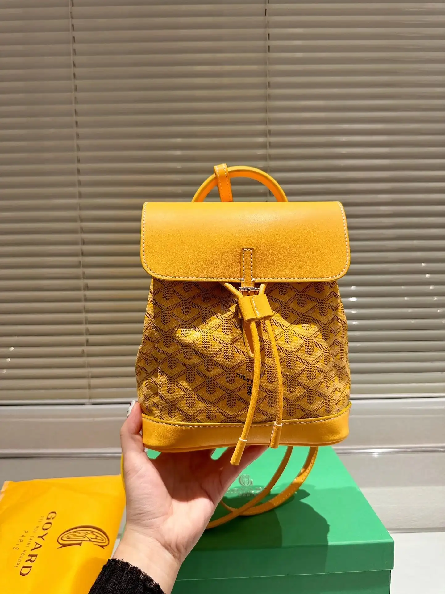 Goyard Mini Backpack