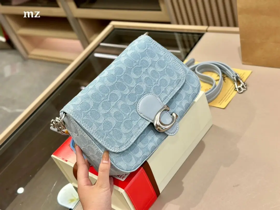 Coach Chain Bag