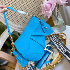 Dior Saddle Bag