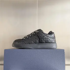 Dior Chunky Sneakers