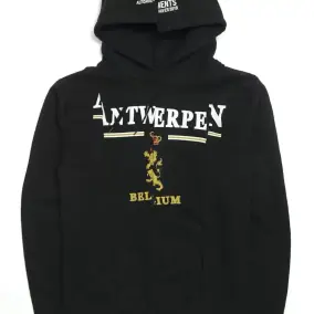 Embroidered Hoodie [3 Styles]