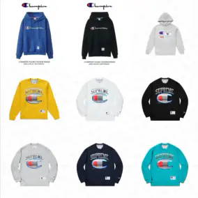 Champion Hoodie