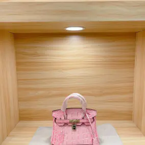 Chanel Chain Bag